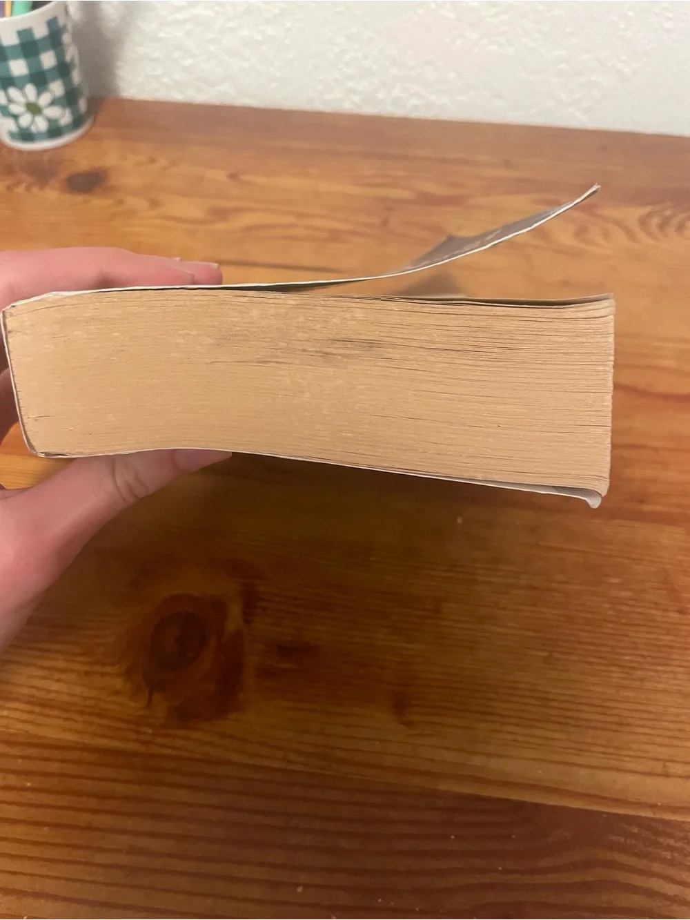 Divergent by Veronica Roth - Blue Cover Paperback